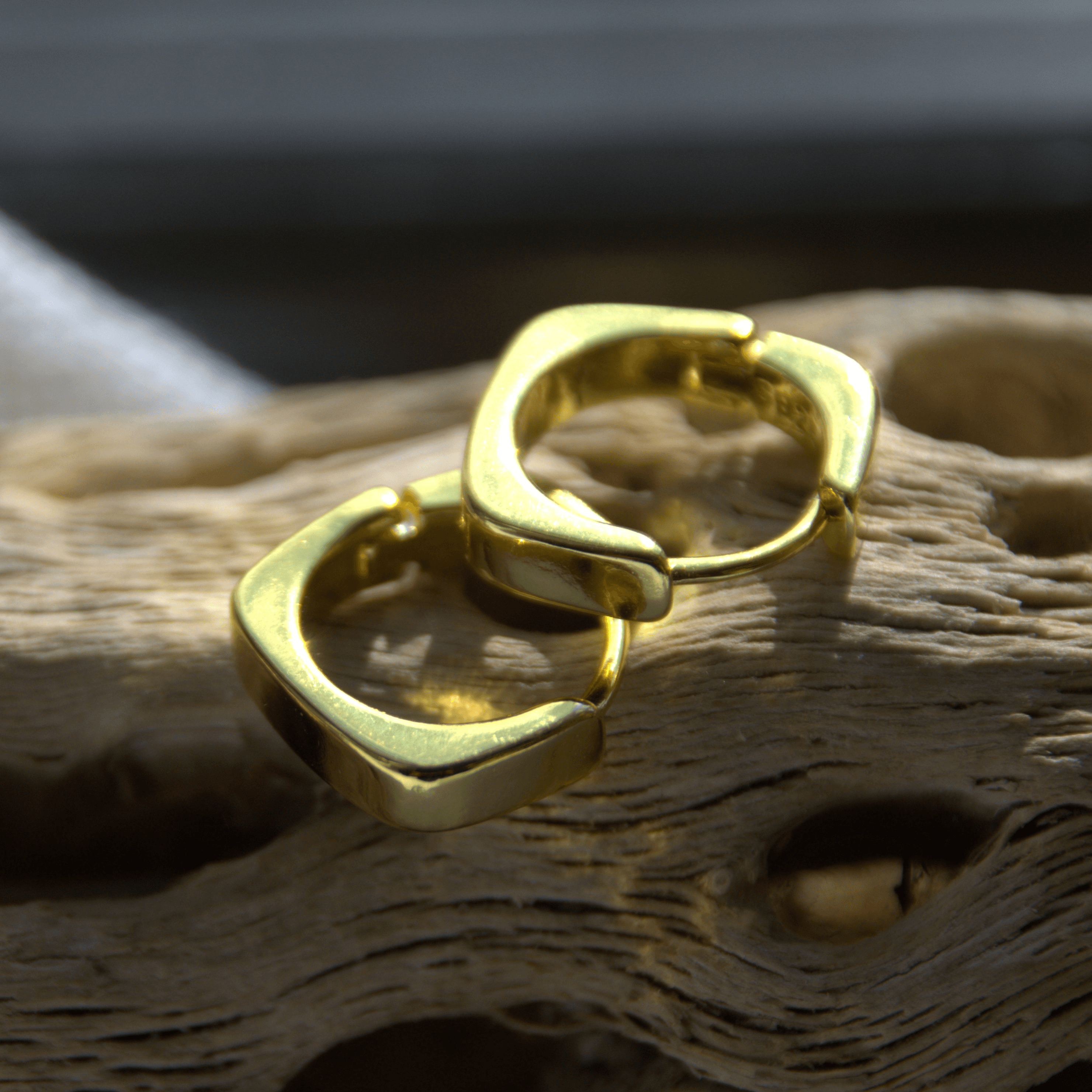 Sculptured Curve Hoops